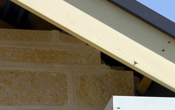 soffit repair Stallingborough